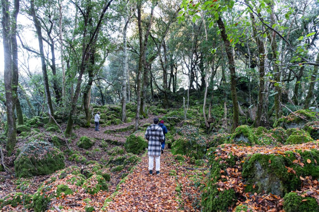 Il blog tour su un sentiero tra massi coperti di muschio nel Bosco del Sasseto